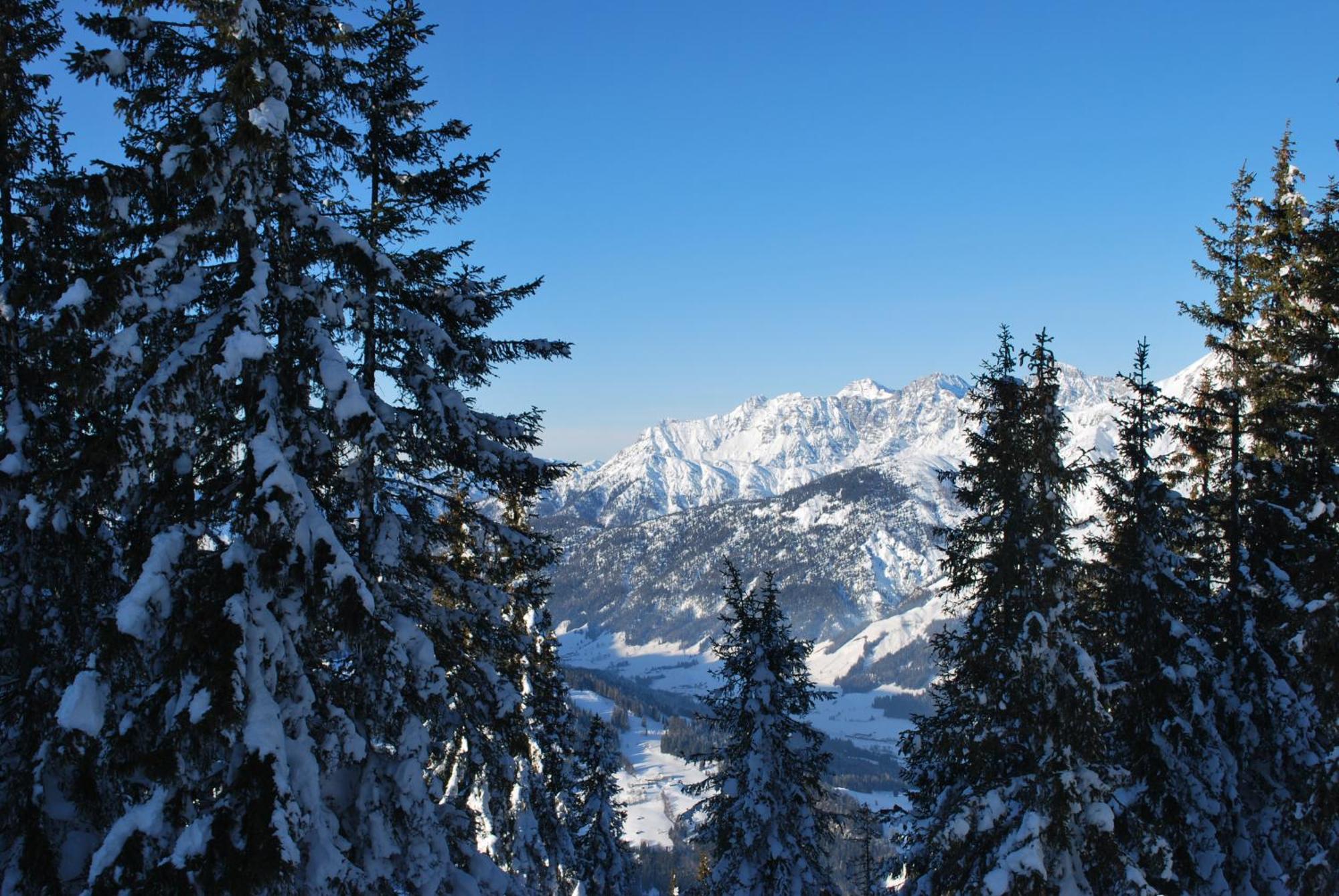 Appartement Haus Pichler Leogang Eksteriør billede