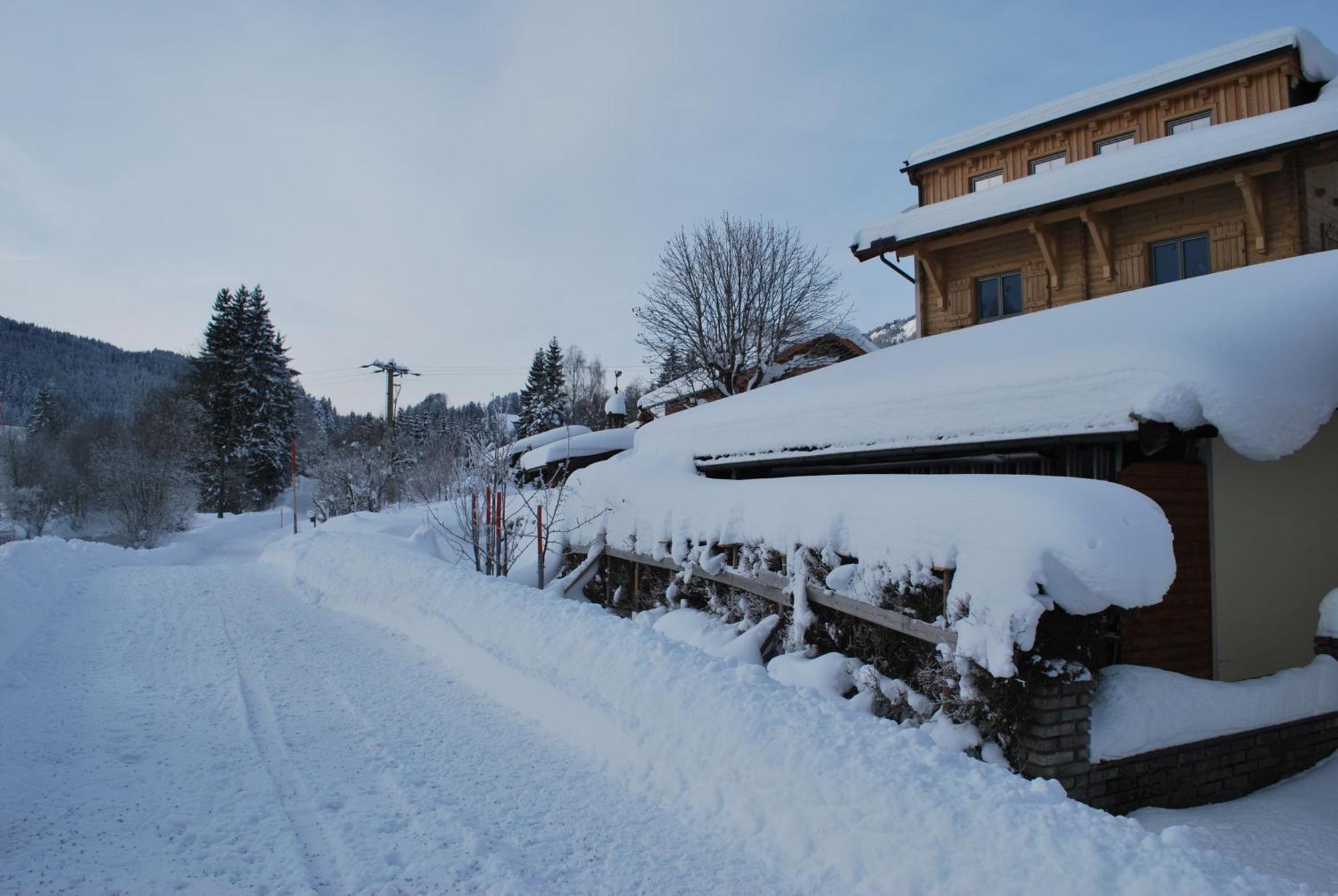 Appartement Haus Pichler Leogang Eksteriør billede
