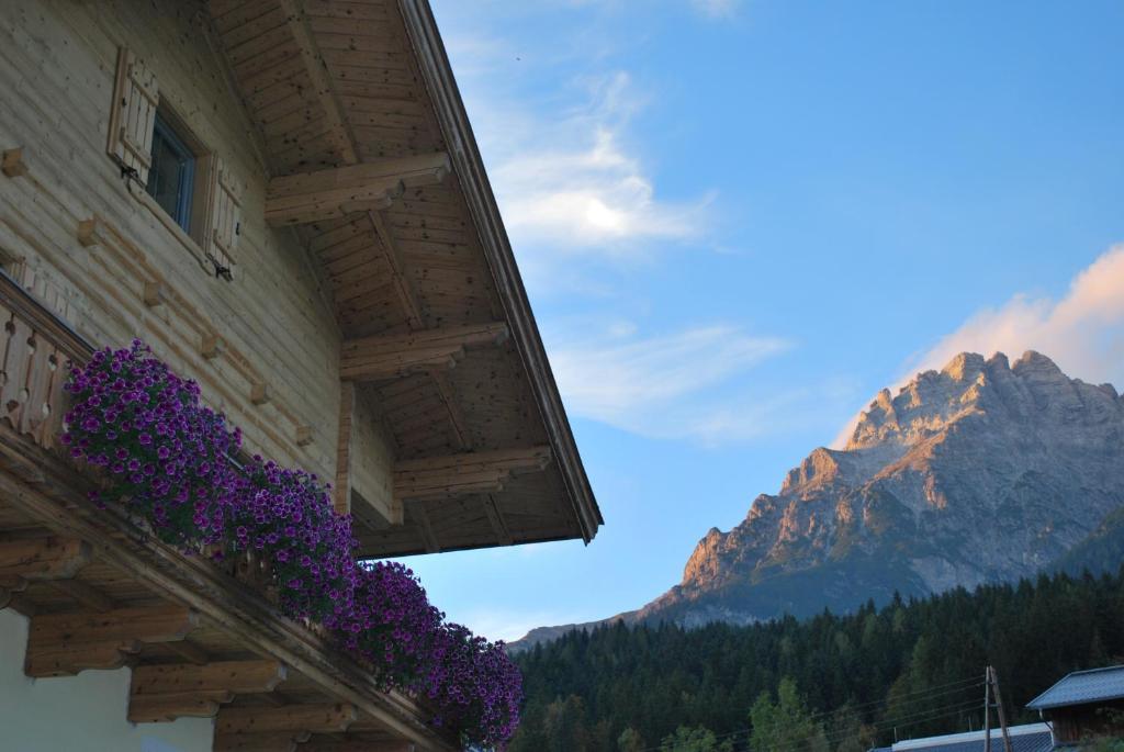 Appartement Haus Pichler Leogang Eksteriør billede